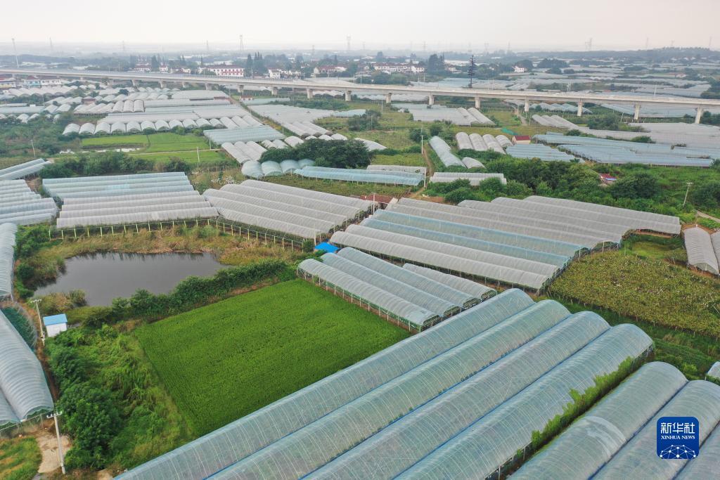 2025白菜体验金无需申请